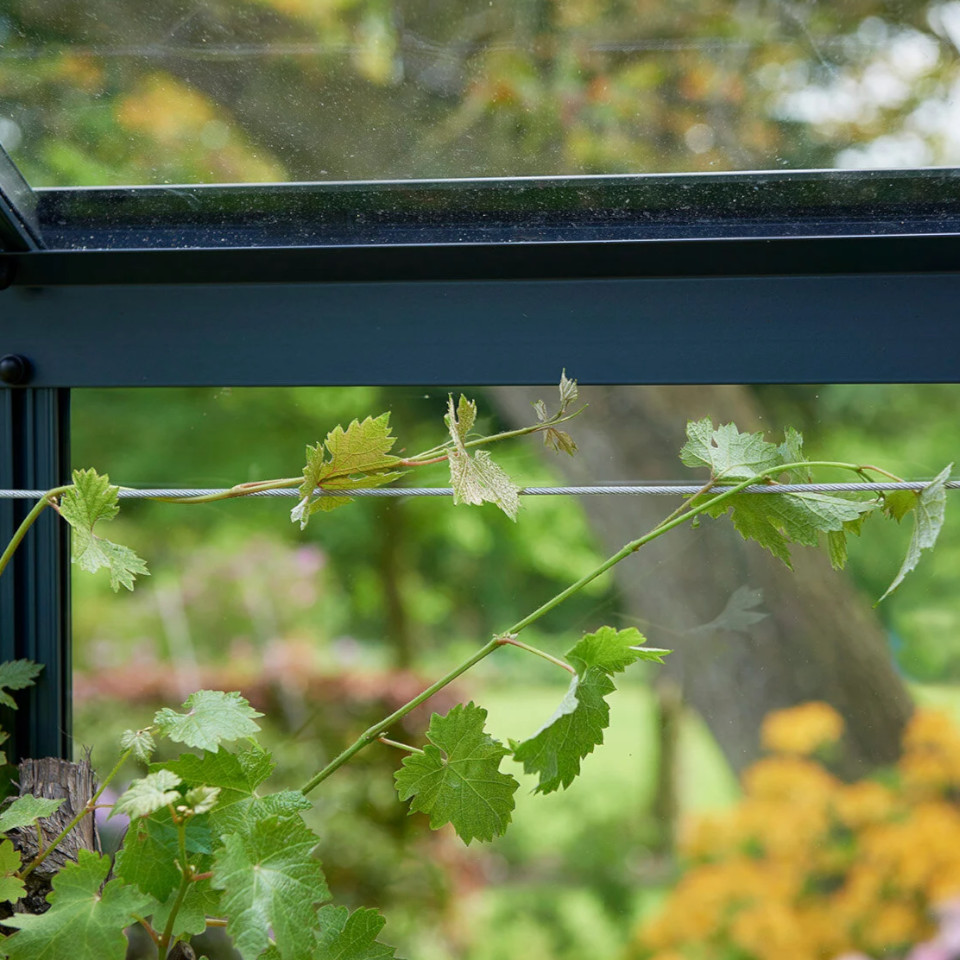 Halls Gewächshaus Drahtseilsystem