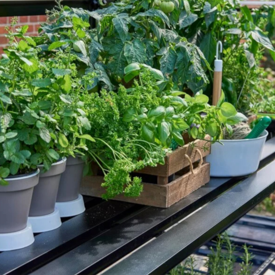 Gewächshaus Einrichtung