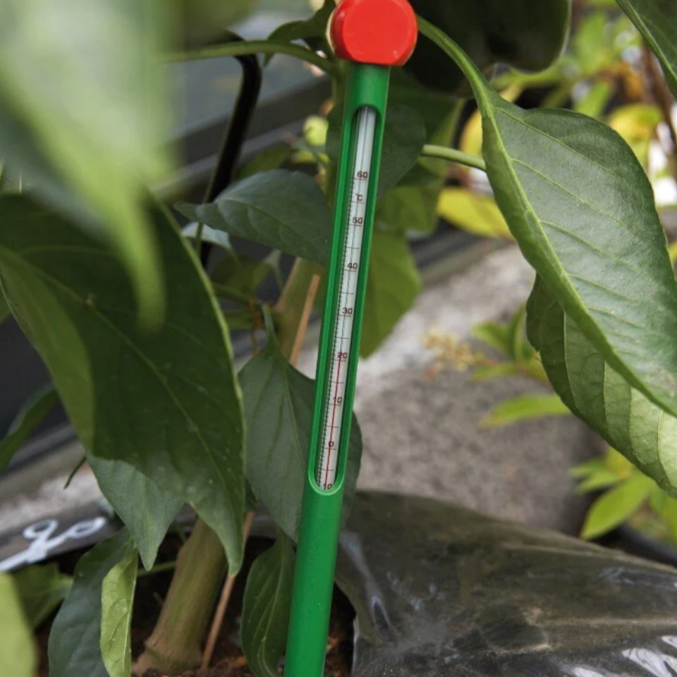 Halls Gewächshaus Thermometer