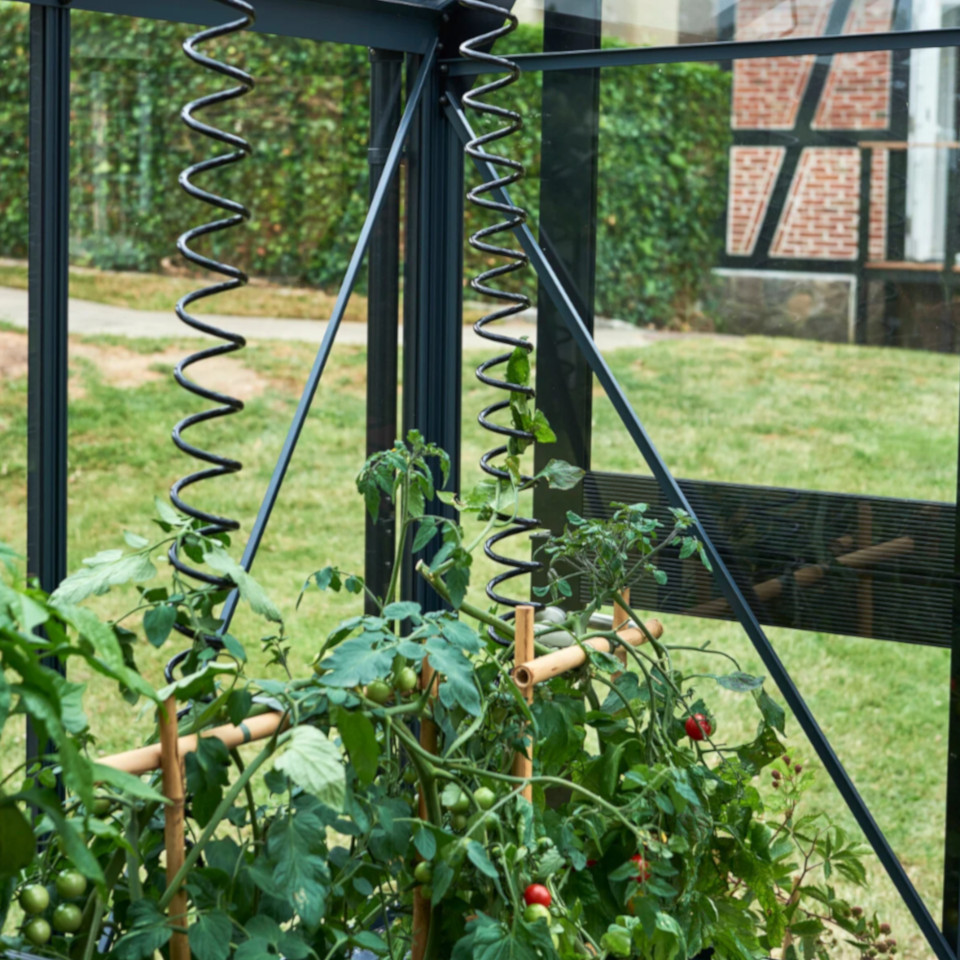 Gewächshaus Pflanzenhalter