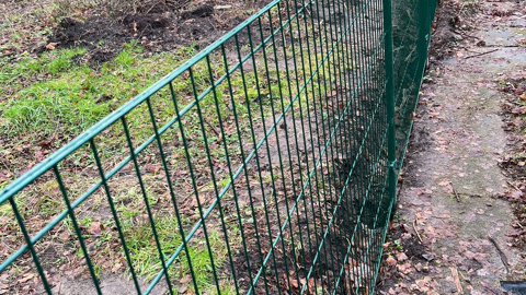 Kraus Dino trend-Zaun