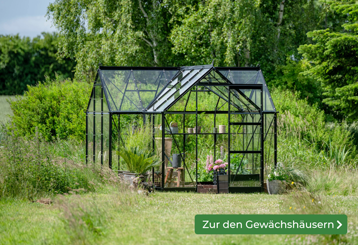 Neue Gewächshausserie Sliderbild