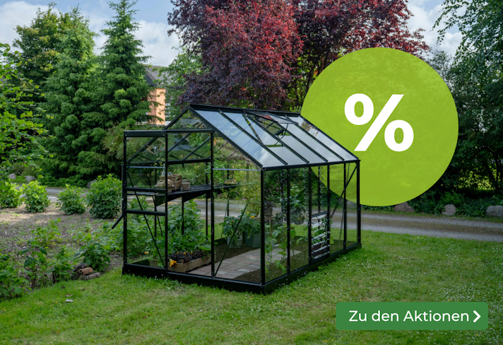 Aktuelle Aktionen entdecken Sliderbild