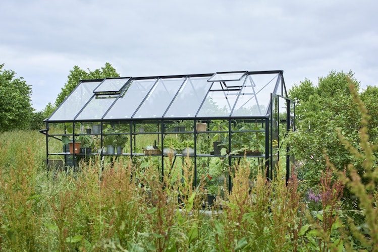 Halls Gewächshaus Blockley 8,1 m² / 9,7 m² / 11,3 m²  - Schwarz mit 3 mm Sicherheitsglas  inkl. integrierten Fundamentrahmen