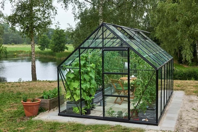 Halls Gewächshaus Universal - 9,9 m²