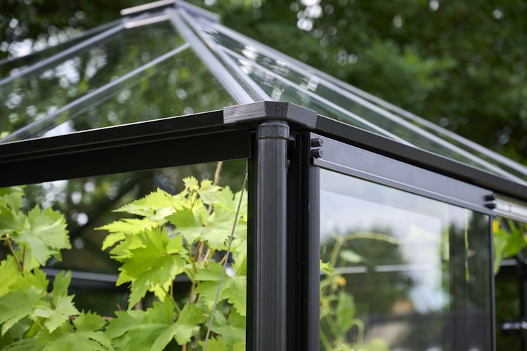 Halls Gewächshaus Qube Square 8 - 6,3 m²