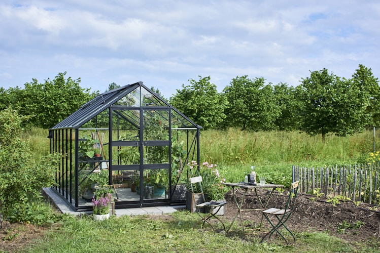 Halls Gewächshaus Blockley 8,1 m² / 9,7 m² / 11,3 m²  - Schwarz mit 3 mm Sicherheitsglas  inkl. integrierten Fundamentrahmen
