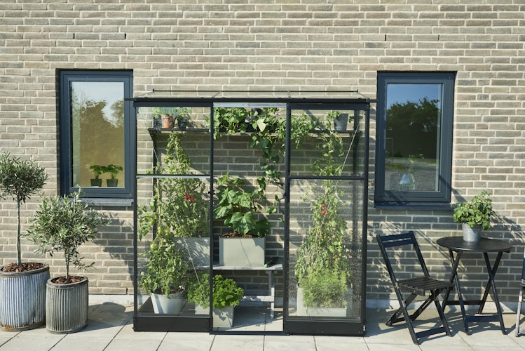 Halls Gewächshaus Qube Lean-to - 0,8 m² / 1,2 m² / 4,7 m² / 7,1 m² Farbe: Schwarz