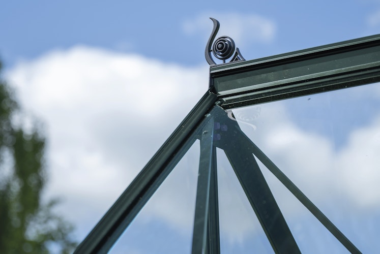 Halls Gewächshaus Icon Pflanzenhaus 6/8 - 7,3 m² / 9,7 m²