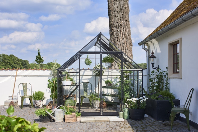 Halls Gewächshaus Qube 8 - 6,3 m² / 9,4 m² / 12,5 m²