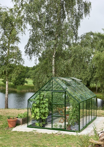 Halls Gewächshaus Universal - 9,9 m²