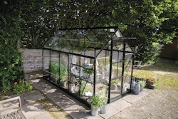 Halls Gewächshaus Icon 6 - 2,5 m² / 3,7 m² / 4,9 m² / 6,1 m²