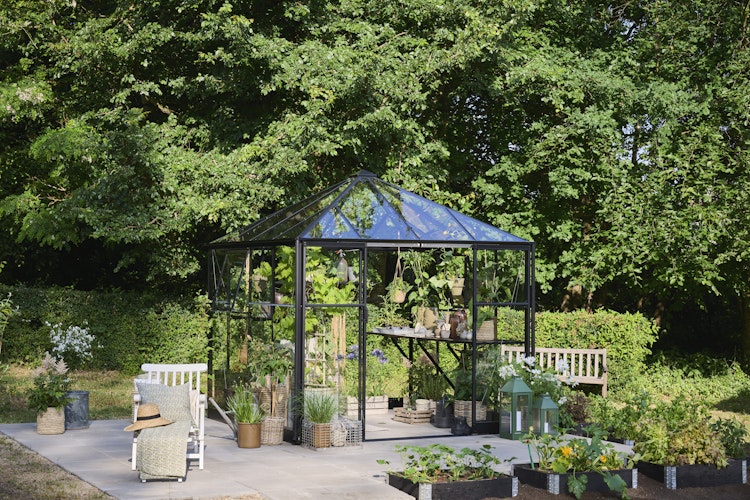 Halls Gewächshaus Qube Square 8 - 6,3 m²