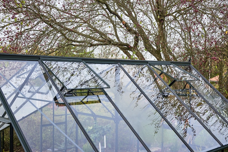 Halls Gewächshaus Icon Gartenhaus - 8,6 m² / 13 m²