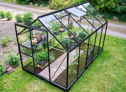 Halls Gewächshaus Popular - 3,8 m² / 5 m² / 6,2 m²