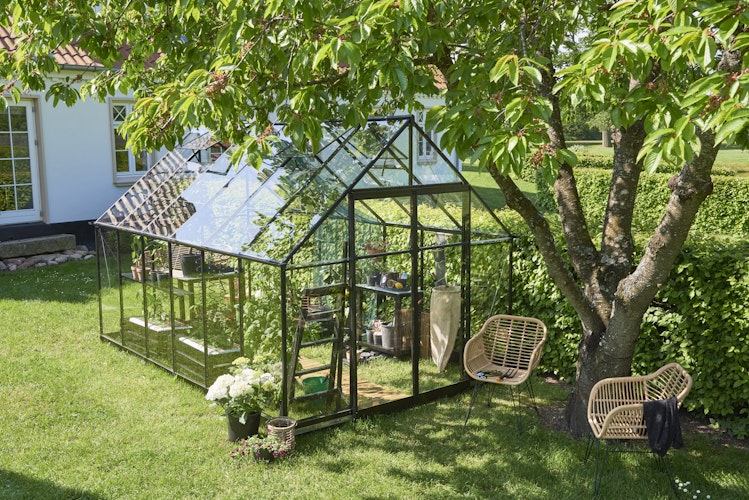 Halls Gewächshaus Qube 8 - 6,3 m² / 9,4 m² / 12,5 m²