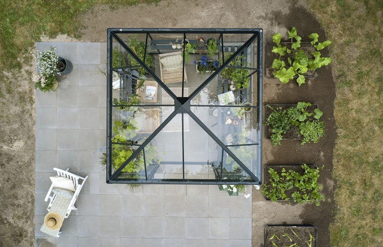 Halls Gewächshaus Qube Square 8 - 6,3 m²