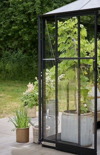 Halls Gewächshaus Qube Square 8 - 6,3 m²