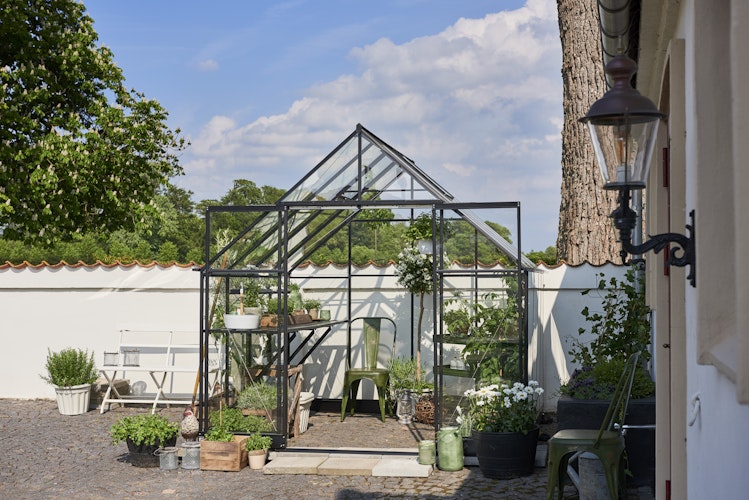 Halls Gewächshaus Qube 8 - 6,3 m² / 9,4 m² / 12,5 m²