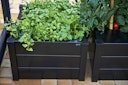 Vorschaubild Juliana Pflanzkasten 95 x 55 x 37 cm schwarz ohne Boden