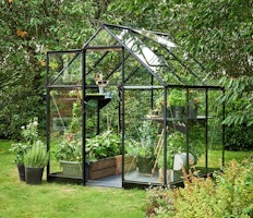 Halls Gewächshaus Qube 6 - 3,6 m² / 4,7 m² / 5,9 m²