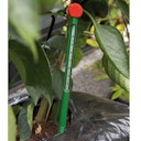 Vorschaubild Juliana Erdbodenthermometer