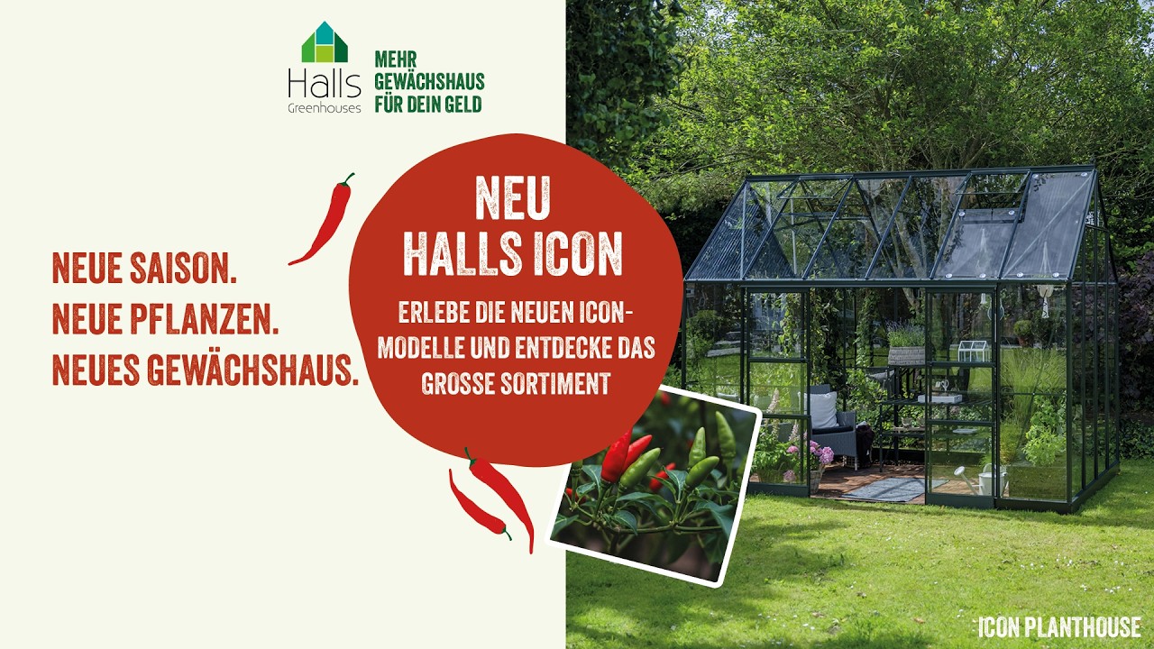 Halls Gewächshaus Icon 6 - 2,5 m² / 3,7 m² / 4,9 m² / 6,1 m²